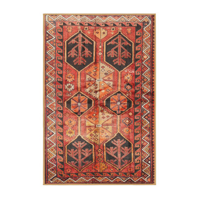 Southwestern Indoor Rug
