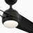 Annasophia 60'' Ceiling Fan with LED Lights-1607546367