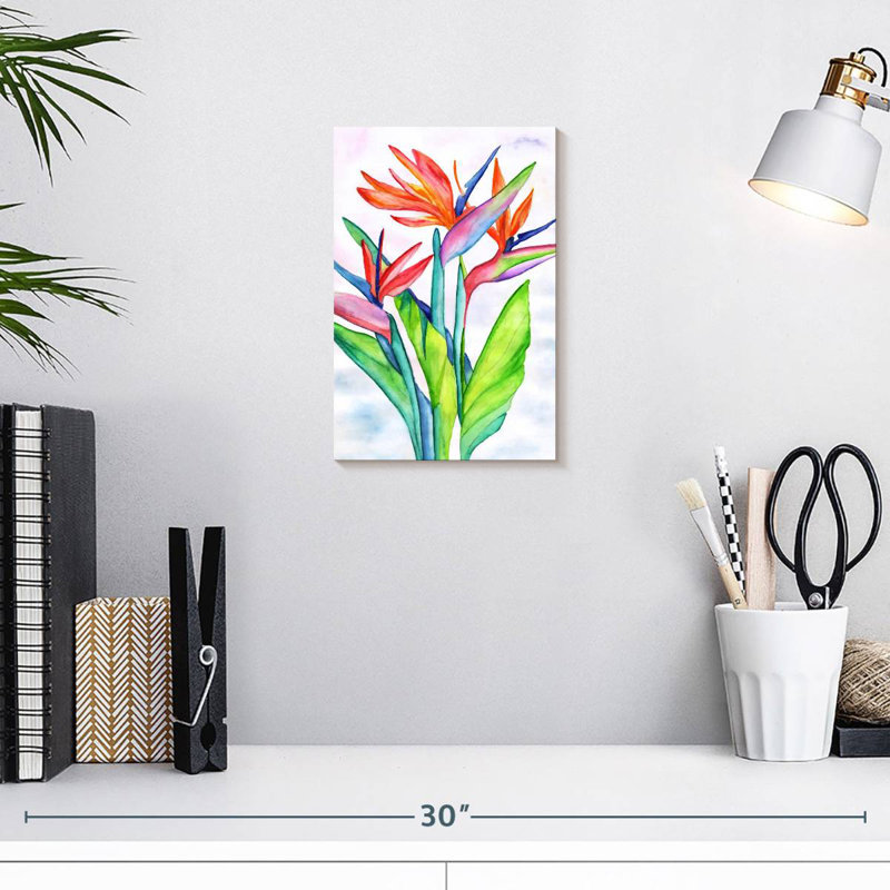 Strelitzias Harnek, H 12 po x l 8 po
