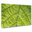 Leaf Roads - Wrapped Canvas-56629897