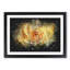 Yellow Rose - Framed Print-56842361-56842363