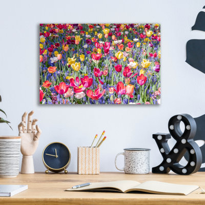"Tulipes Kuekenhaus II" par Richard Silver