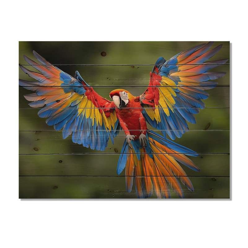 Photo volante vibrante ara - décoration murale en bois d'oiseau - sur bois de pin naturel, H 24 po x l 32 po x P 0,78 po