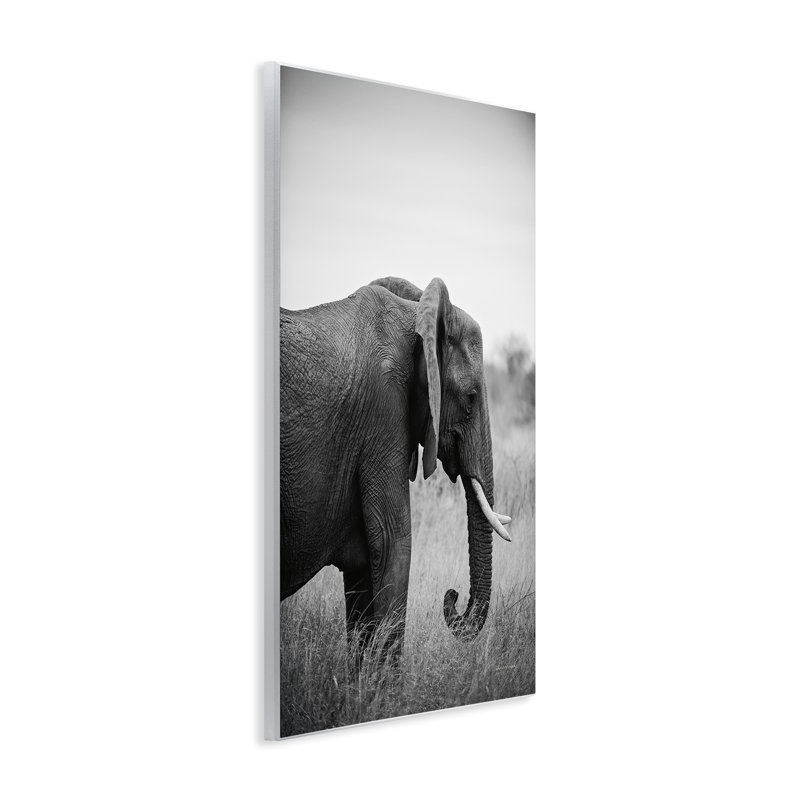 «Side Profile Elephant Wall Art» par Sharon Vardy, H 19 po x l 13 po