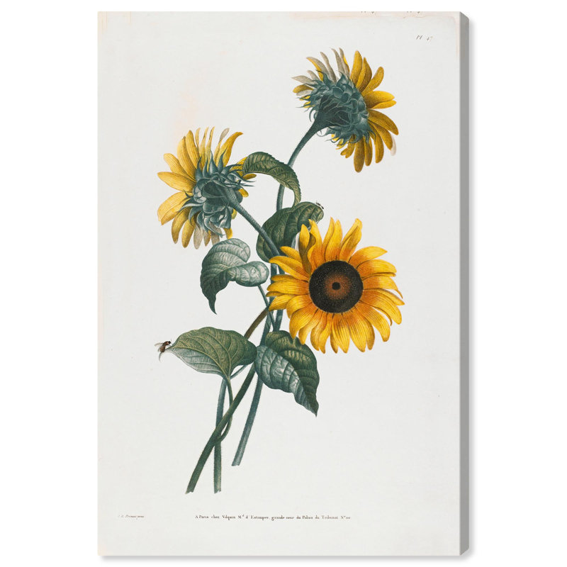 Art Remedy, impressions sur toile, tournesol, H 15 po x l 10 po, Toile tendue