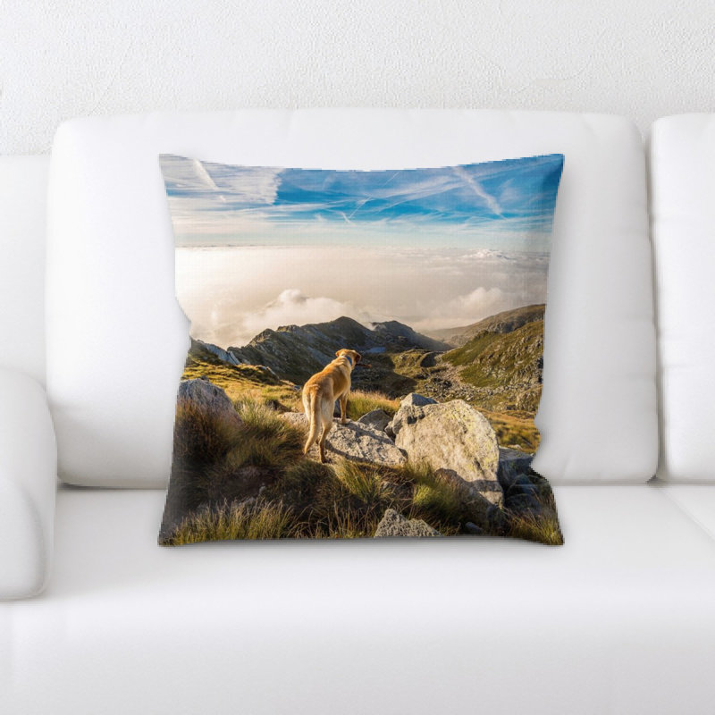 Coussin pour chien