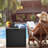 Lockable 30 - Gallon Resin Box - Waterproof for Patio & Pool-110372123