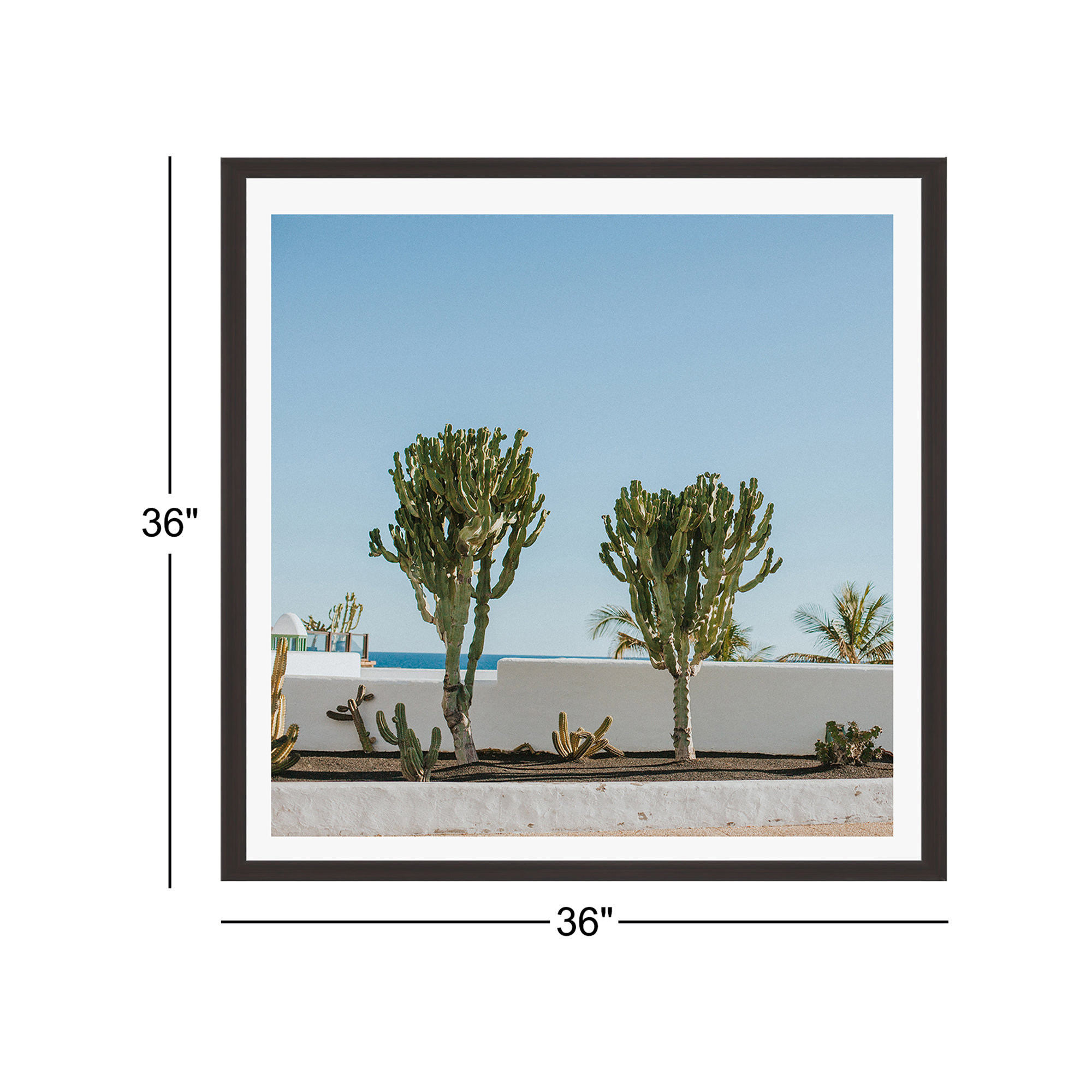 Hello Twiggs Three Cactus by Claudia Casal, No, Espresso Floater Framed, 36" H x 36" W x 2" D