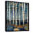 Black Floater Framed