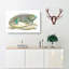 Iguana by George Shaw - Wrapped Canvas-55304313