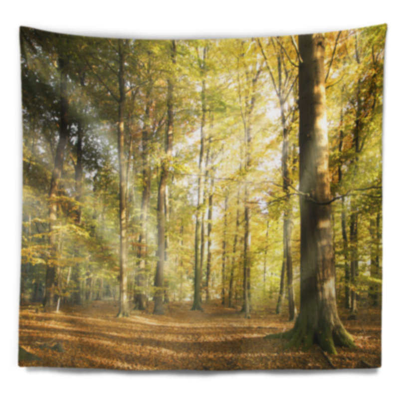 Paysage avec rayons de soleil frappant une tapisserie, H 50 po x l 60 po