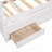 Daybed with Trundle and Drawers-502706699