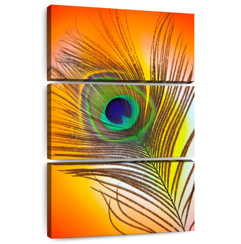 Kerner Glamorous Peacock Feather, 38" H x 24" W