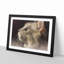 Curious Cat - Picture Frame Graphic Art Print-56708723-56708726