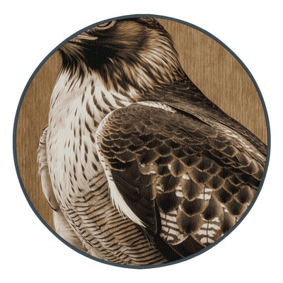 Washable Northern Goshawk Birds Area Rug