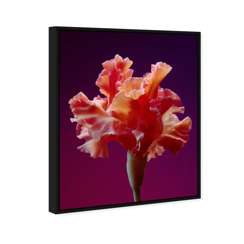 Taffeta Twilight I Print by Oliver Gal, 37"H x 46"W, Black Floater Frame