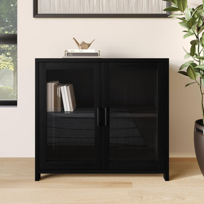 TWO DOORS CABINET IN BLACK