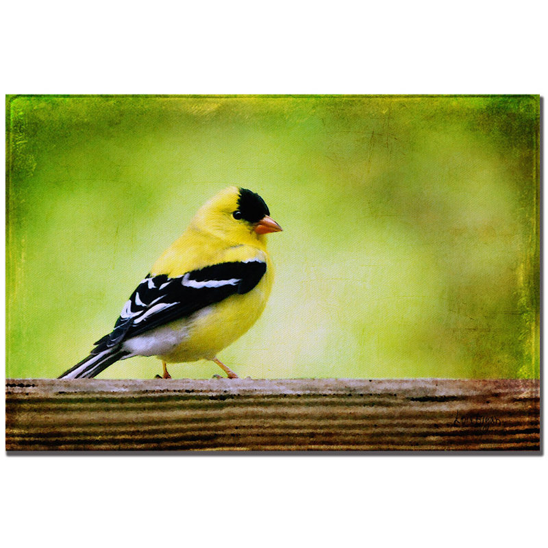 American Golden Finch in Spring Canvas Art with Gold Frame