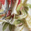 Tissu impérial d'été