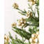 11 cm Polystyrene Shatterproof Bauble-1579561032