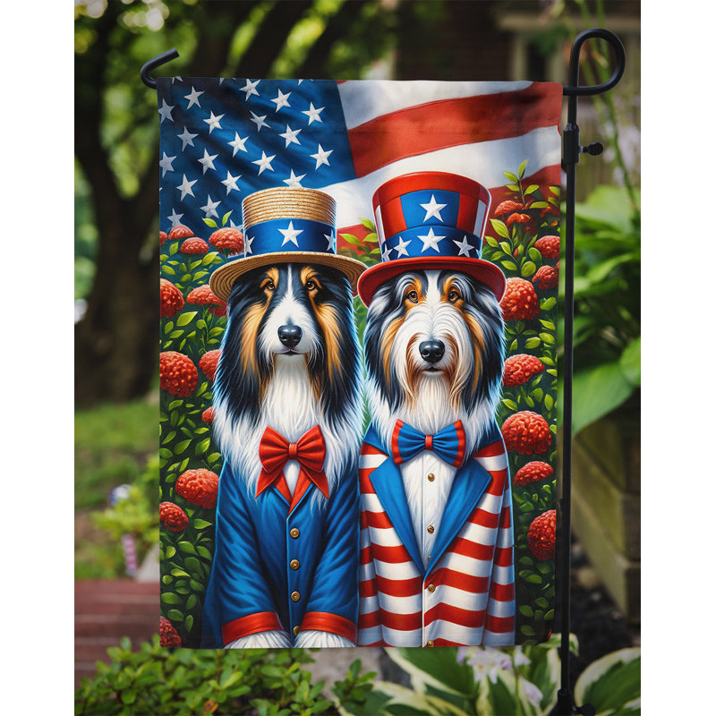Drapeau All American Garden, Colley barbu