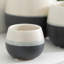 Avyanna Ceramic Pot Planter