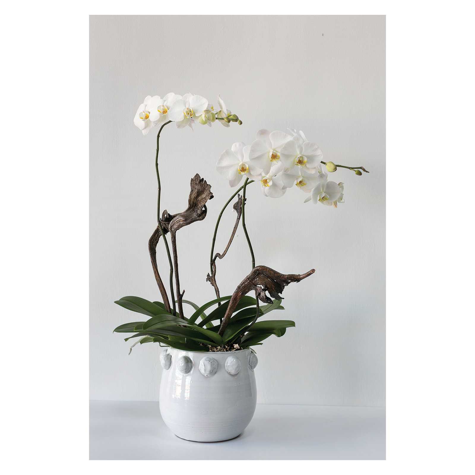 Handmade Ceramic Pot Planter, 9.5" H x 10" W x 10" D