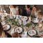 Berry & Thread North Pole Dessert/Salad Plate Assorted Set
