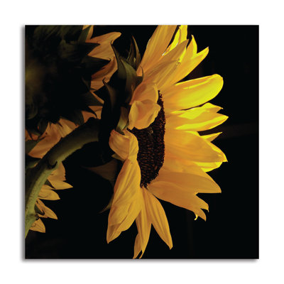 Sunlit Sunflowers VIII par Monika Burkhart - reproduction de photo