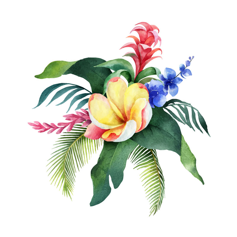 Watercolor Vector Bouquet by Elena Medvedeva - Wrapped Canvas Print, 51cm H x 51cm W