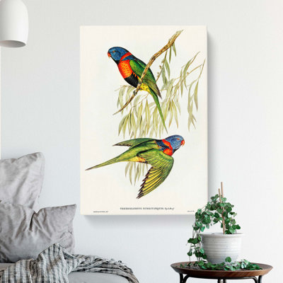 Lorikeets by Elizabeth Gould - Wrapped Canvas Print