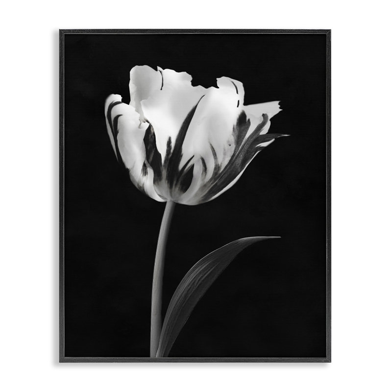 Giclée encadrée noire Modern Flower Stark, design by CAD Designs, H 20 po x l 16 po, Giclée encadrée noir minuit