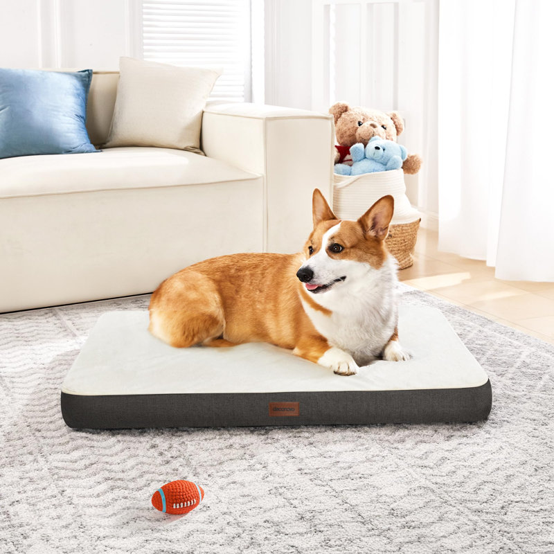Orthopedic Dog Bed with Removable Cover, Dark Grey, 30" H x 20" W x 3" D