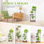 Plant Stand