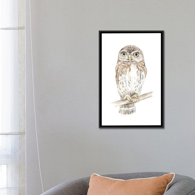 « northern pygmy hibou », impression sur toile