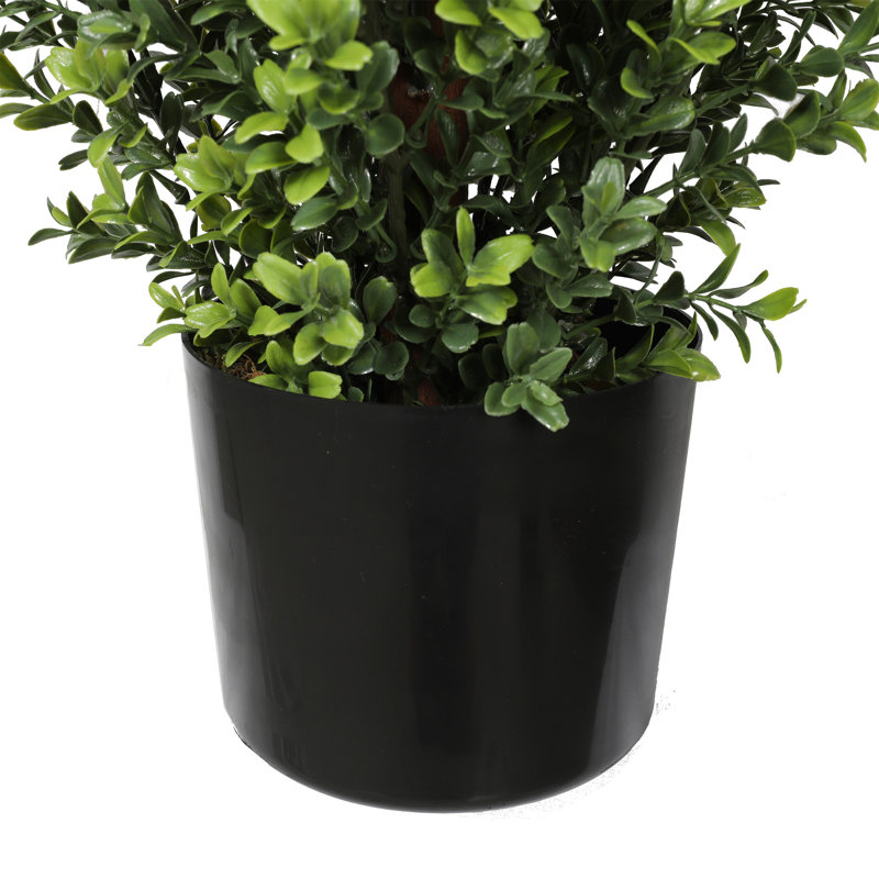 Topiaire UV 36 "buisson de buis, H 24 po x l 17 po x P 17 po