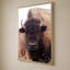 «American Bison IV» par Debra Van Swearingen - Impression sur toile-130877632-130877634