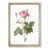 Oak Framed selected