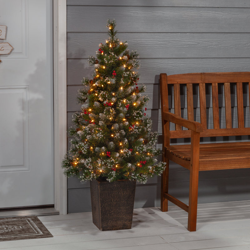 Potted 4' Pre-Lit Pine Christmas Tree