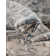 Tapis oriental gris Cambrie