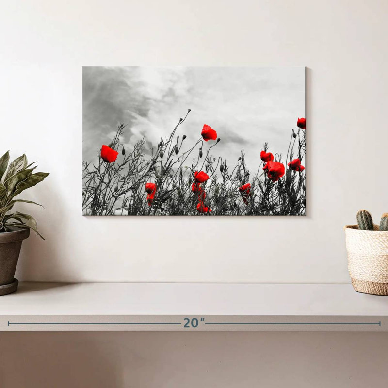 Harnek, fleurs de coquelicots rouges, H 8 po x l 12 po