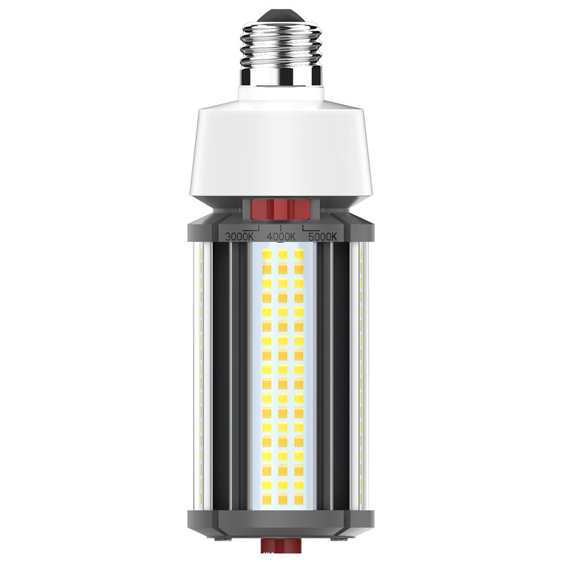 Ampoule à DEL à intensité variable de 27 watts, à DEL, à culot variable E26 / à culot moyen (standard)
