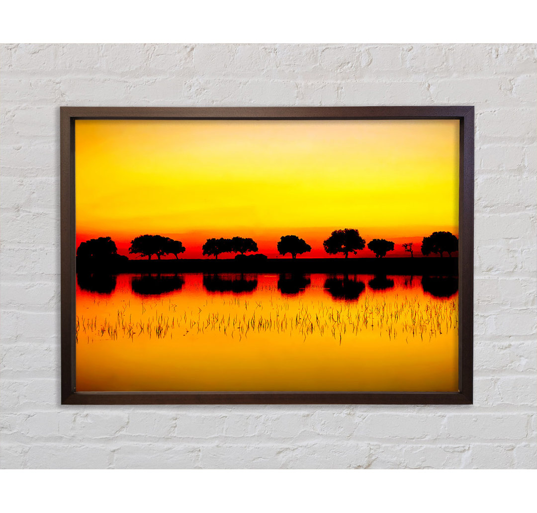 Reflections Of The Sunset Trees Golden - Single Picture Frame Kunstdrucke auf Leinwand