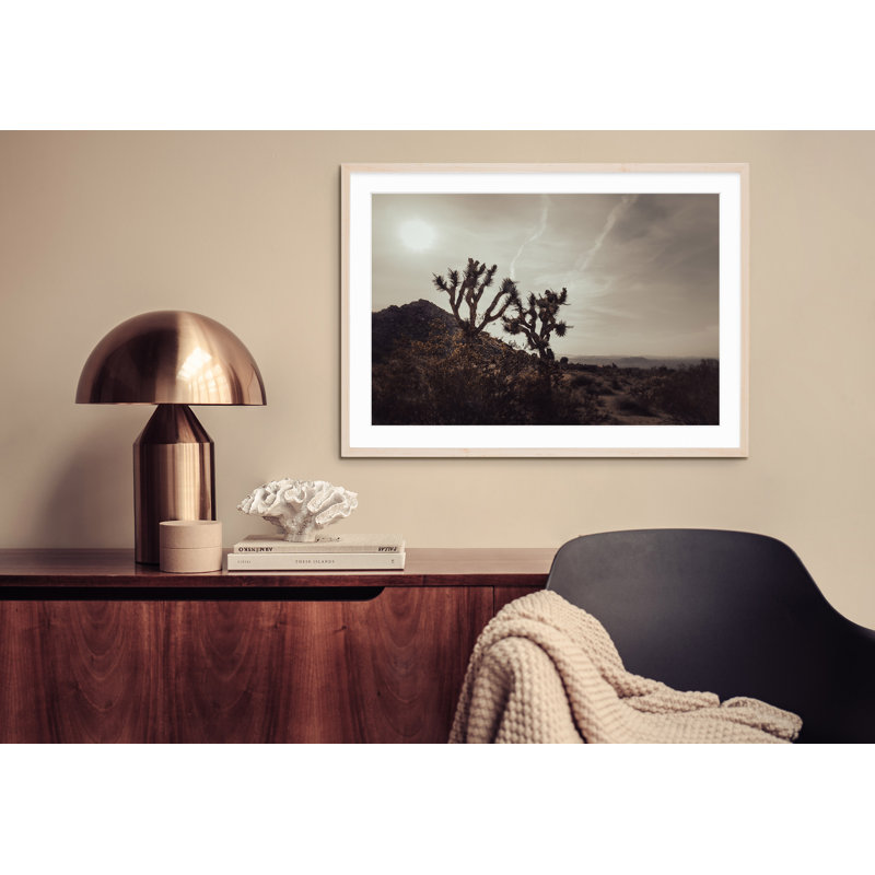 Mojave désert, H 34,5 po x l 47,5 po, Naturel