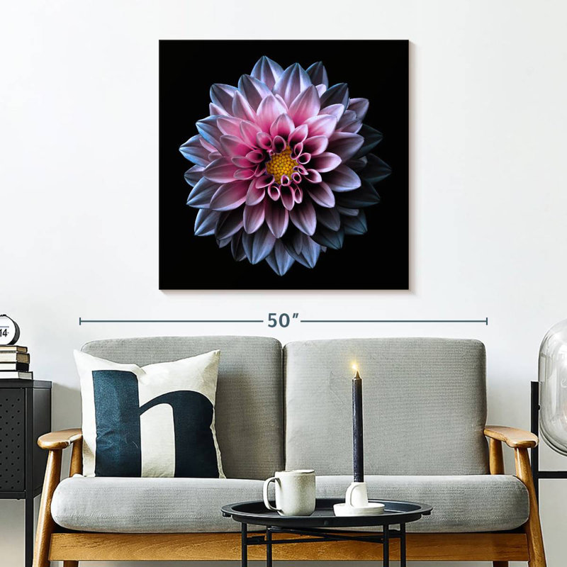 Dahlia Harnek rose et mauve, H 30 po x l 30 po