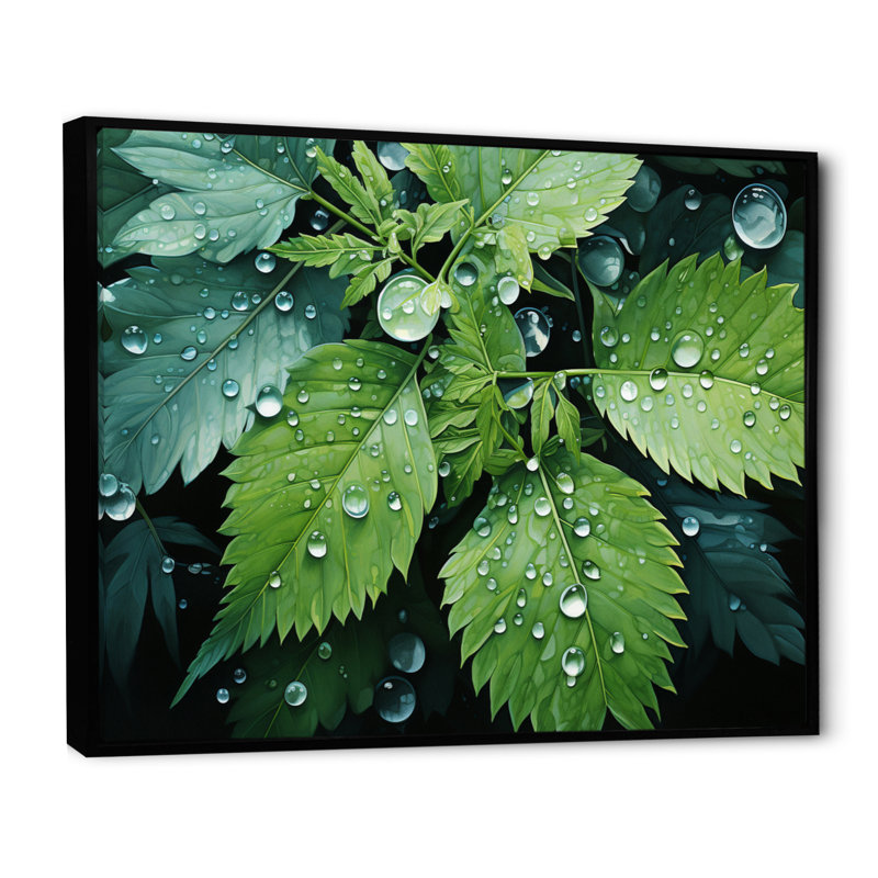 Ferns Plant Gossamer Veil I - impression, Cadre flottant noir, H 34 po x l 44 po x P 1,5 po