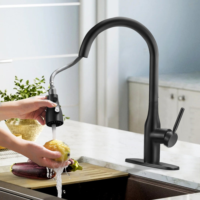 Robinet de cuisine SUNRINX, Noir mat
