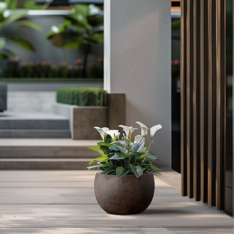 Pot à fleurs en ciment Highwoods, H 10,5 po x l 15 po x P 15 po, Brun terreux