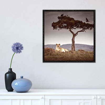 Observance I by Klaus Tiedge - Print on Canvas