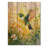Hummingbird In The Sunshine I - Bird Wood Wall Art - On Natural Pine Wood-689333009